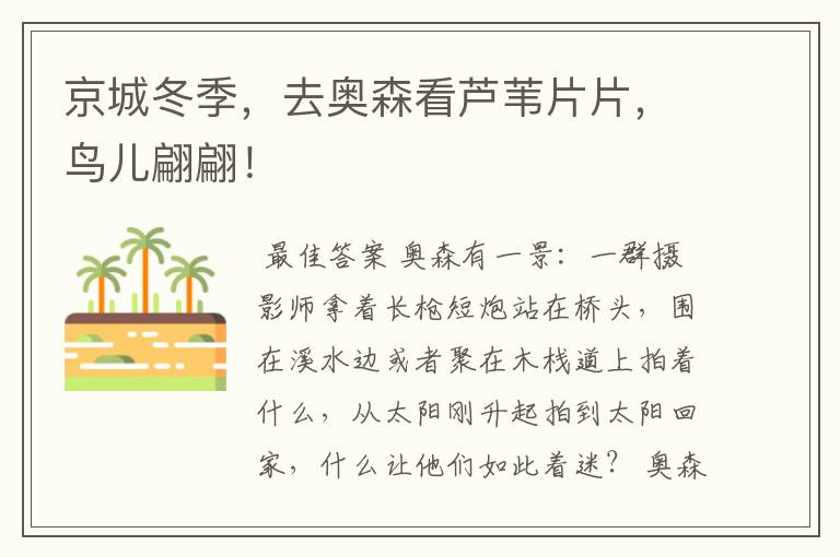 京城冬季,去奥森看芦苇片片,鸟儿翩翩!