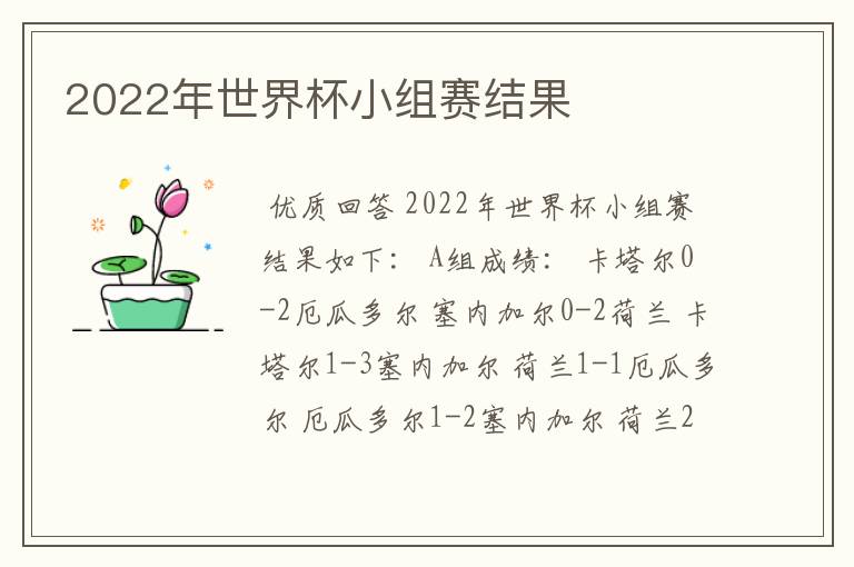 2022年世界杯小组赛结果