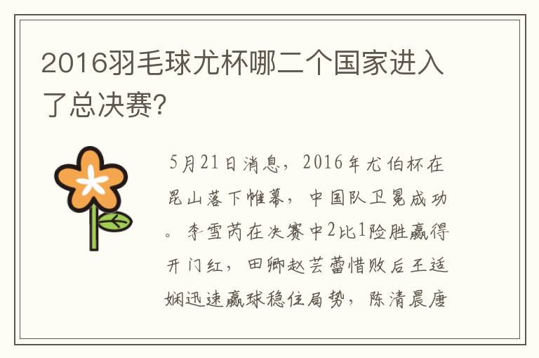 2016羽毛球尤杯哪二个国家进入了总决赛？