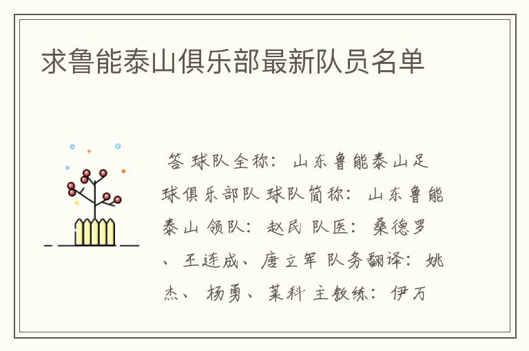 求鲁能泰山俱乐部最新队员名单