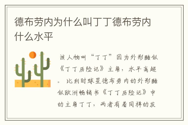 德布劳内为什么叫丁丁德布劳内什么水平