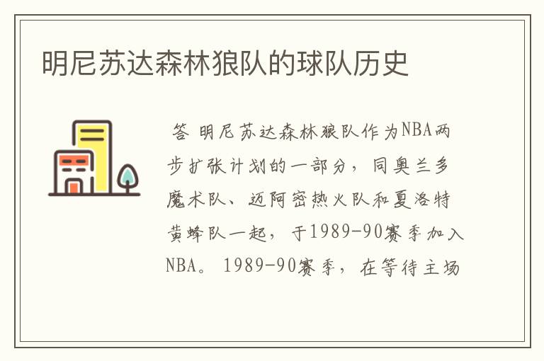 明尼苏达森林狼队的球队历史