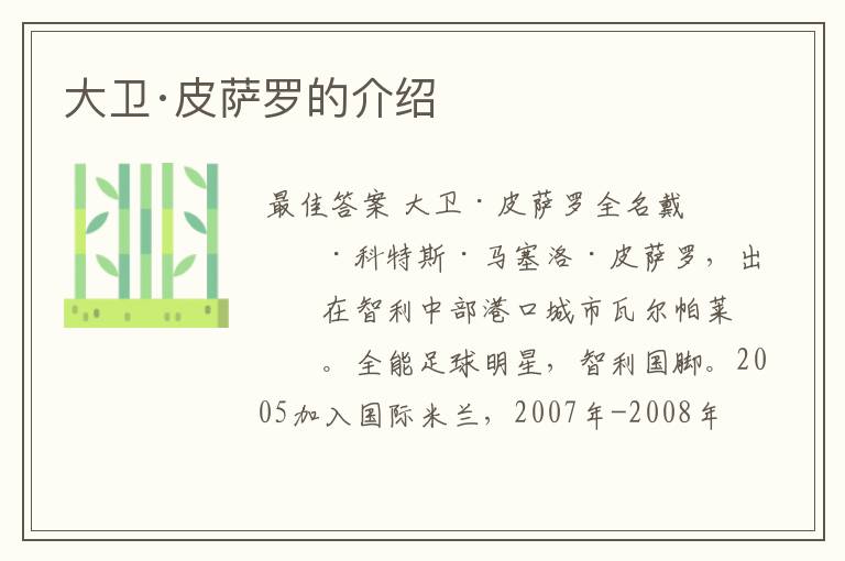 大卫·皮萨罗的介绍