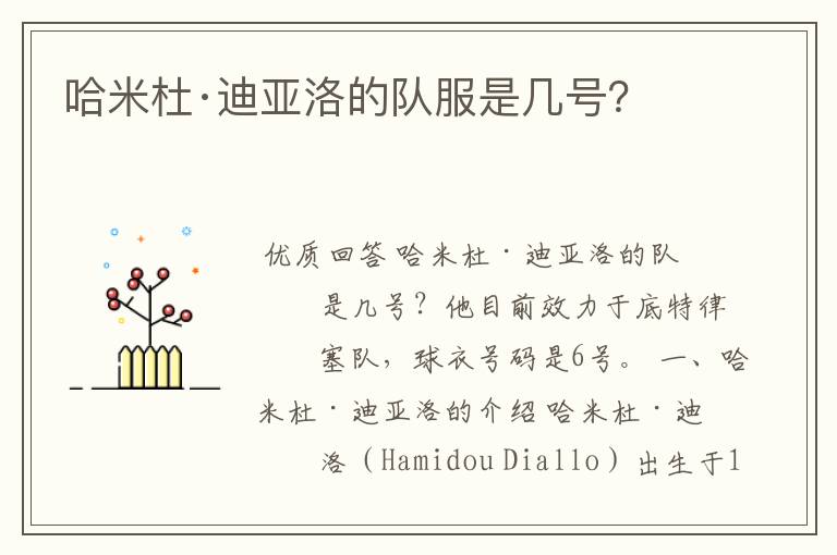 哈米杜·迪亚洛的队服是几号?
