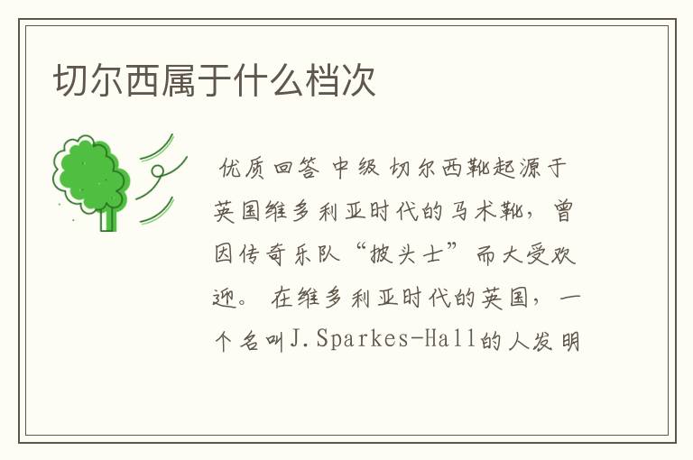 切尔西属于什么档次