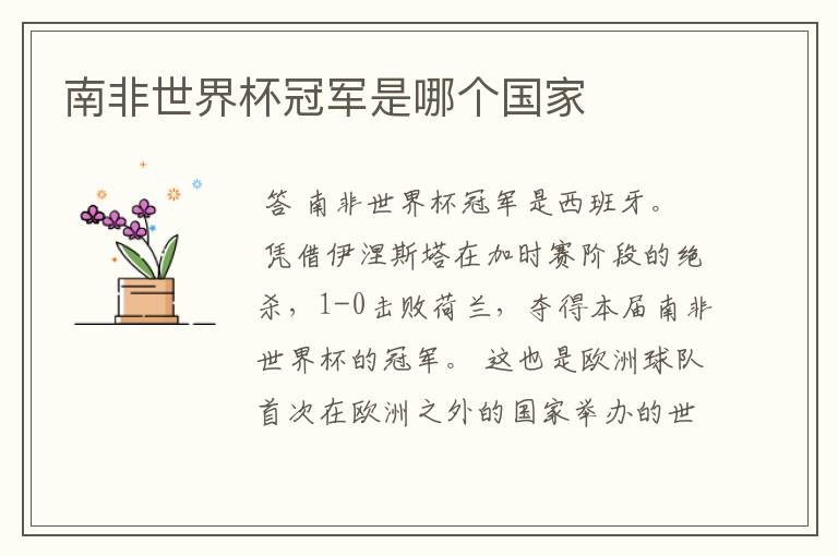 南非世界杯冠军是哪个国家