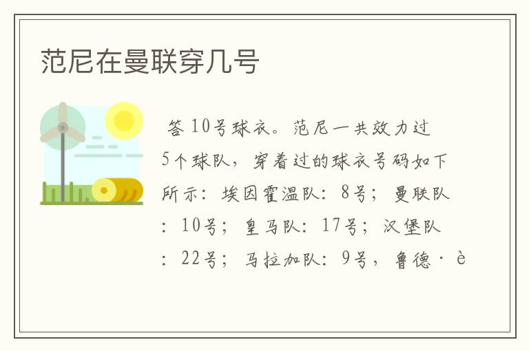 范尼在曼联穿几号