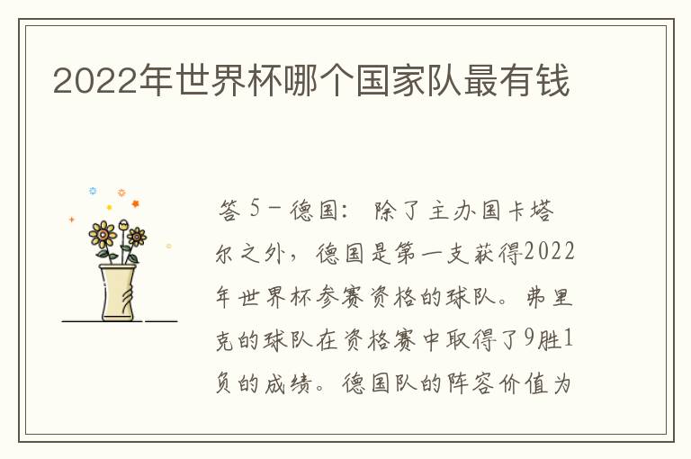 2022年世界杯哪个国家队最有钱