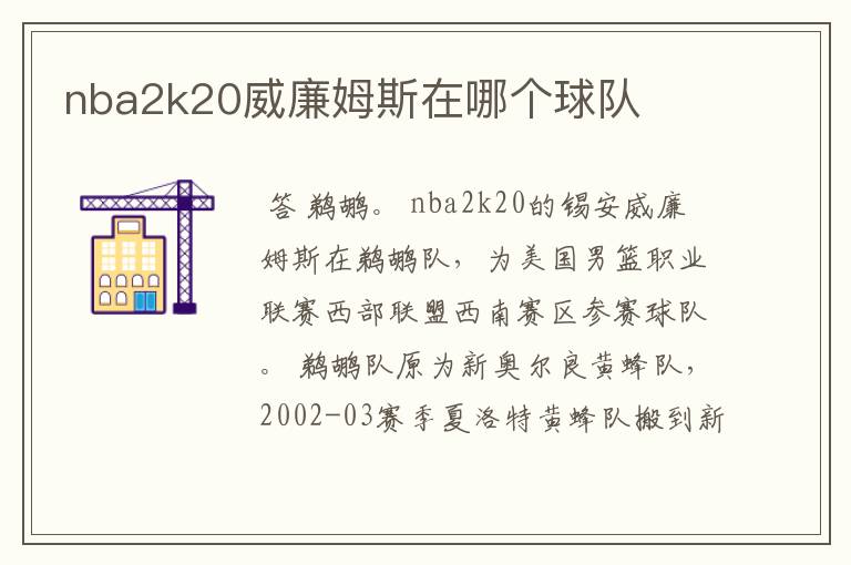 nba2k20威廉姆斯在哪个球队