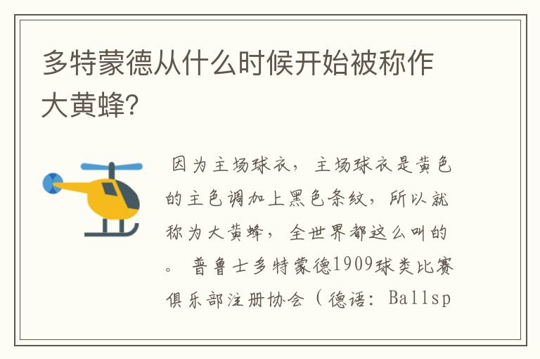 多特蒙德从什么时候开始被称作大黄蜂?