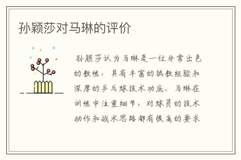孙颖莎对马琳的评价
