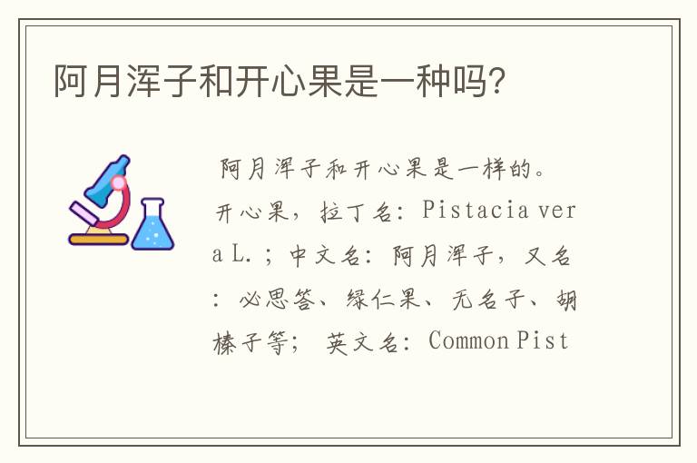 阿月浑子和开心果是一种吗?