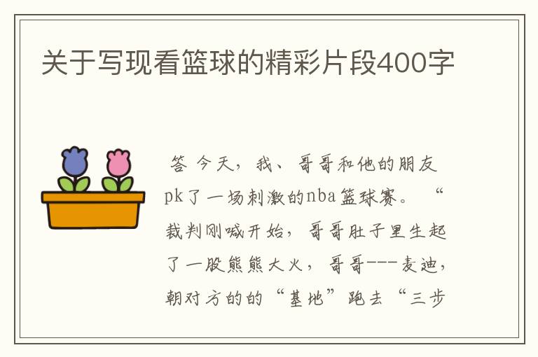 关于写现看篮球的精彩片段400字