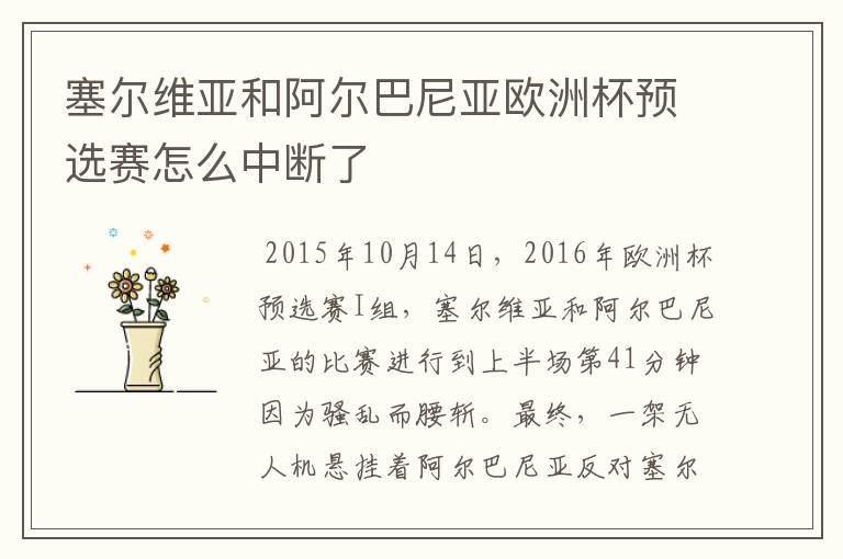 塞尔维亚和阿尔巴尼亚欧洲杯预选赛怎么中断了
