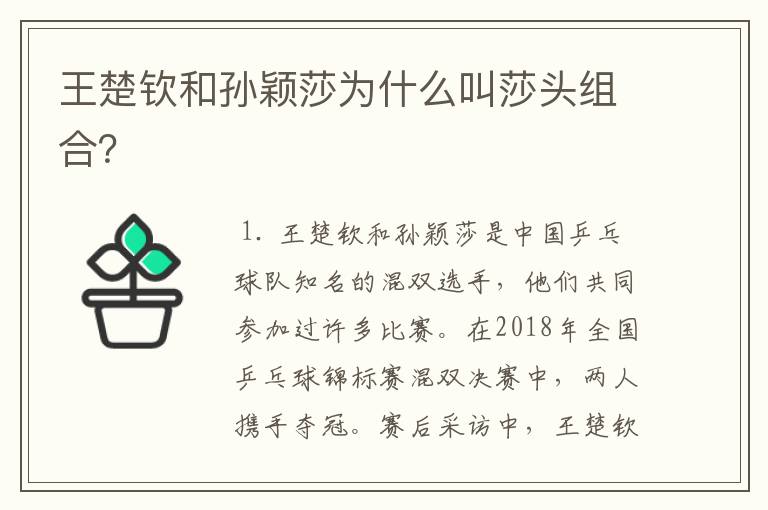 王楚钦和孙颖莎为什么叫莎头组合?
