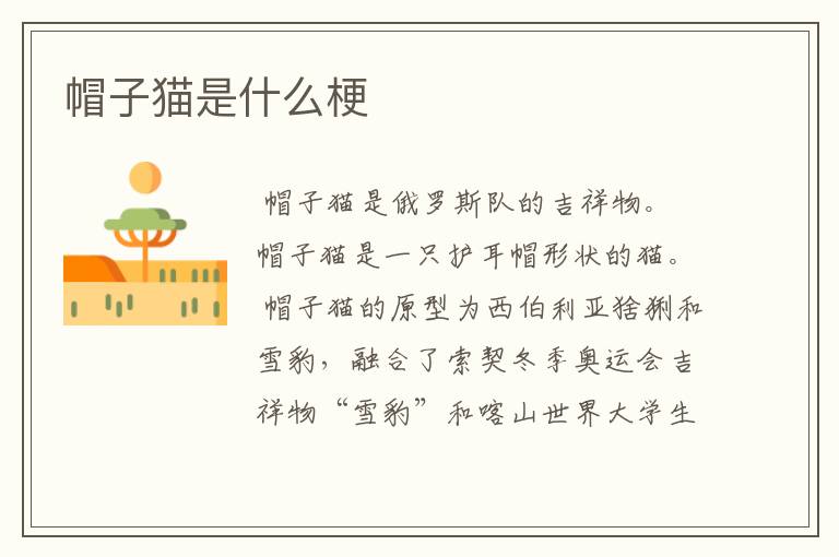 帽子猫是什么梗