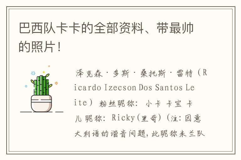 巴西队卡卡的全部资料、带最帅的照片！