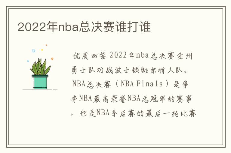 2022年nba总决赛谁打谁