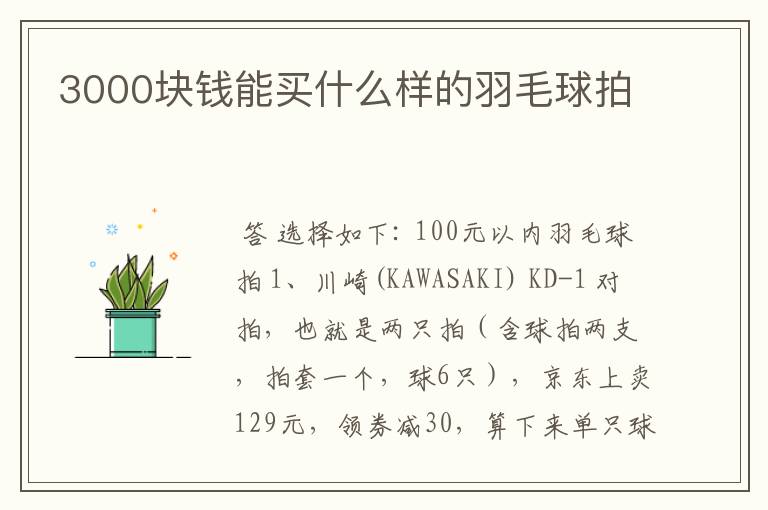 3000块钱能买什么样的羽毛球拍