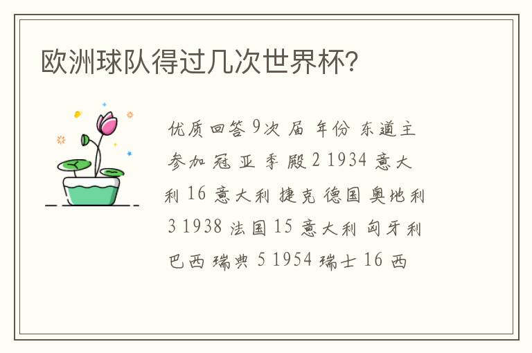 欧洲球队得过几次世界杯?