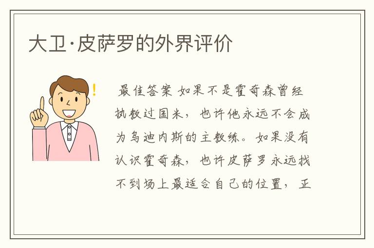 大卫·皮萨罗的外界评价