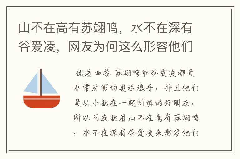山不在高有苏翊鸣，水不在深有谷爱凌，网友为何这么形容他们俩？