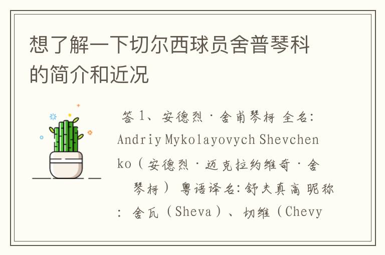 想了解一下切尔西球员舍普琴科的简介和近况