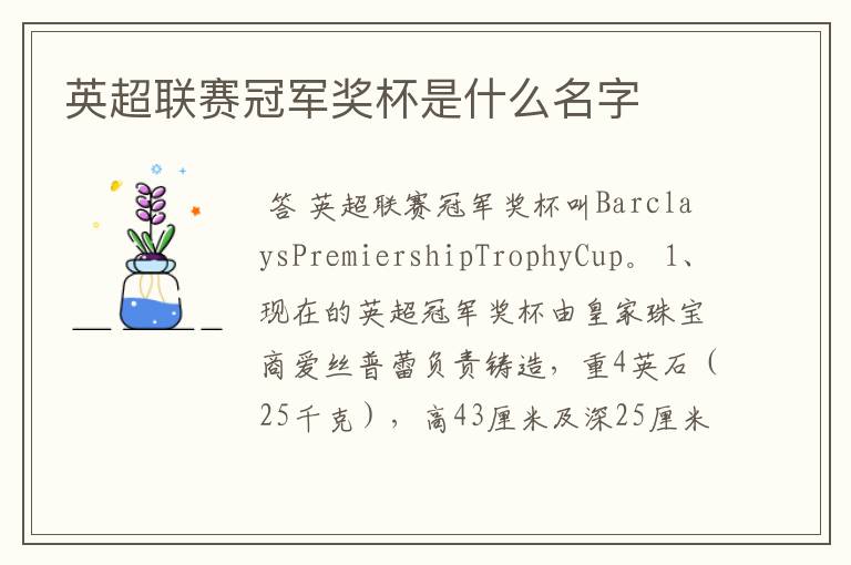 英超联赛冠军奖杯是什么名字