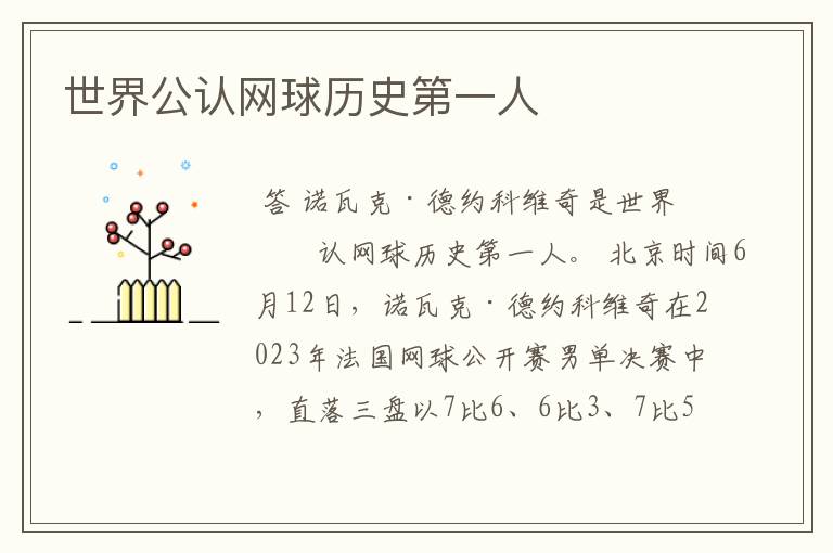 世界公认网球历史第一人