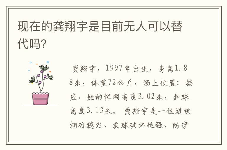 现在的龚翔宇是目前无人可以替代吗?