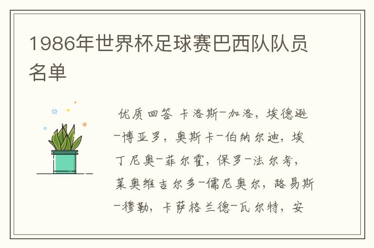 1986年世界杯足球赛巴西队队员名单