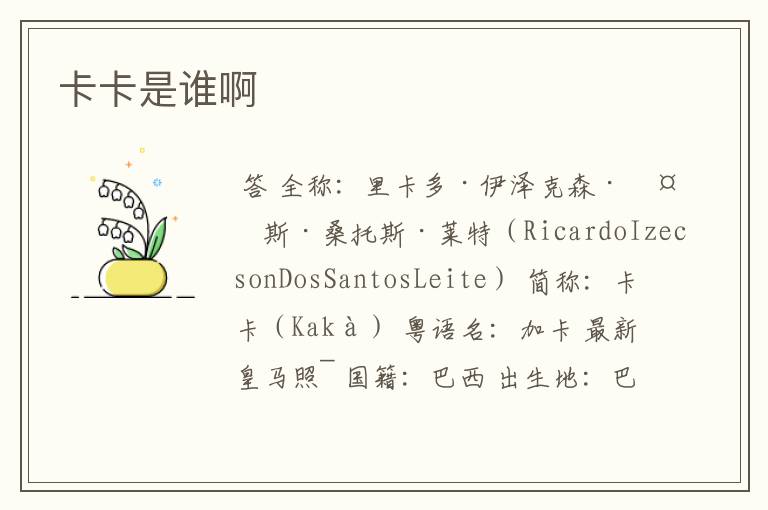 卡卡是谁啊