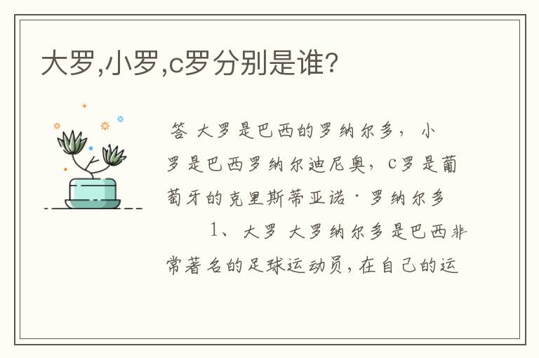 大罗,小罗,c罗分别是谁?
