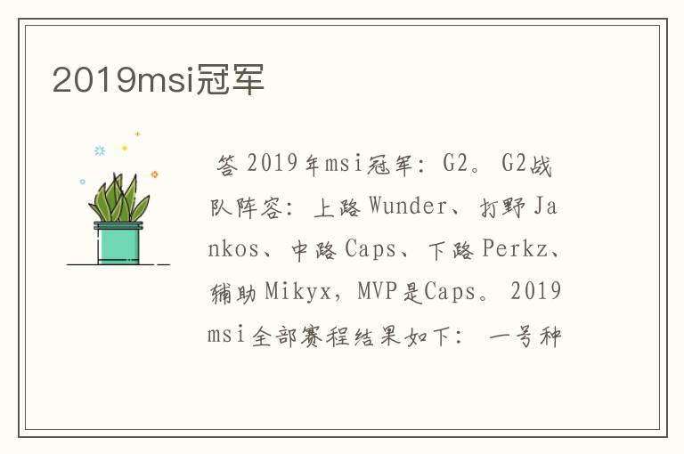 2019msi冠军