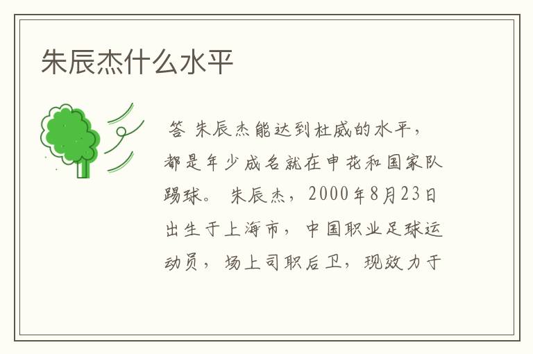 朱辰杰什么水平