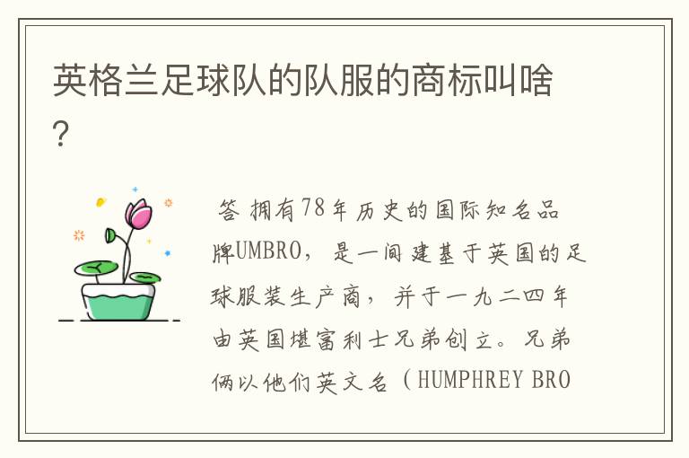 英格兰足球队的队服的商标叫啥?