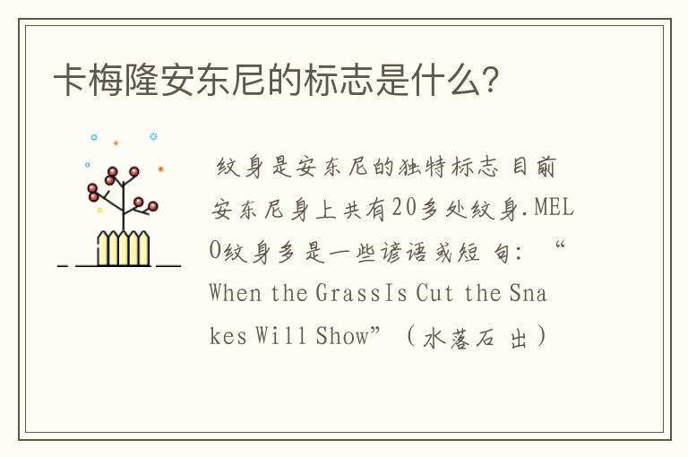 卡梅隆安东尼的标志是什么?