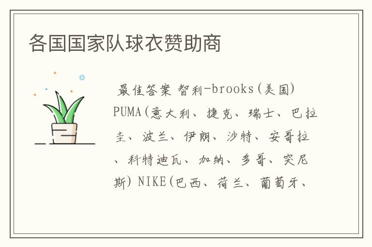 各国国家队球衣赞助商