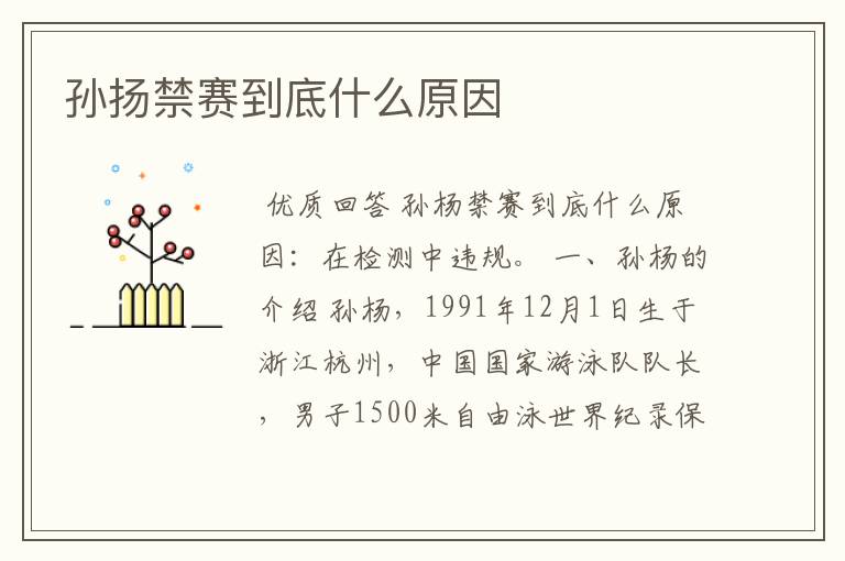 孙扬禁赛到底什么原因