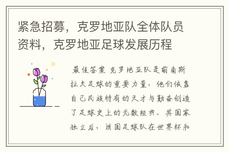 紧急招募,克罗地亚队全体队员资料,克罗地亚足球发展历程