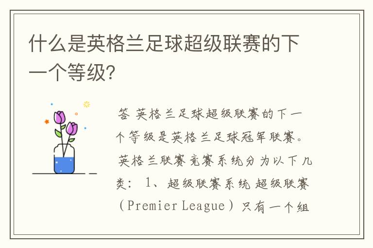 什么是英格兰足球超级联赛的下一个等级?