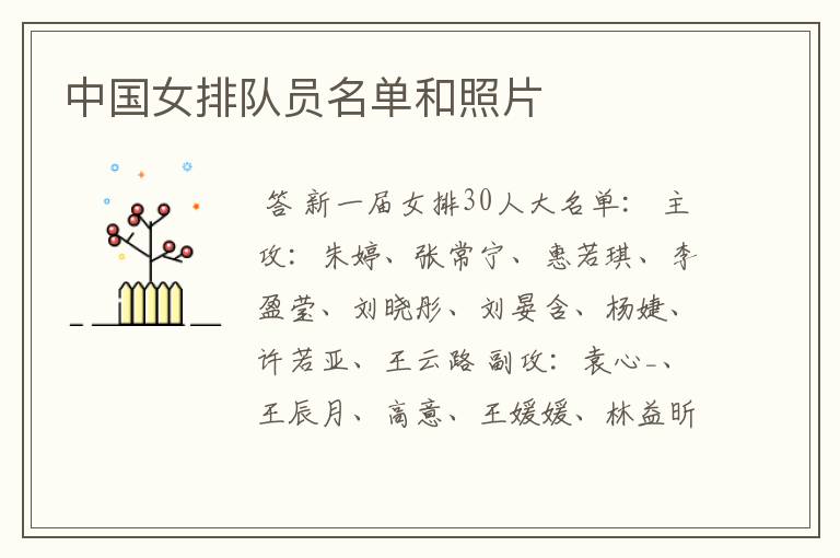 中国女排队员名单和照片