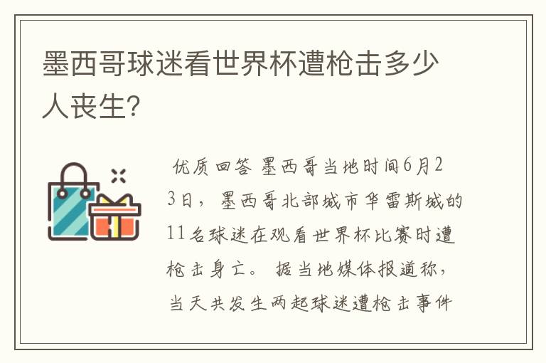 墨西哥球迷看世界杯遭枪击多少人丧生?