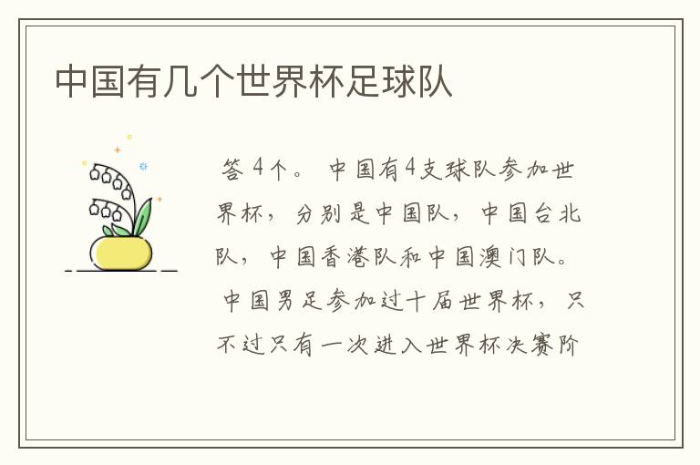 中国有几个世界杯足球队