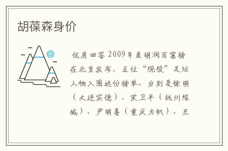 胡葆森身价