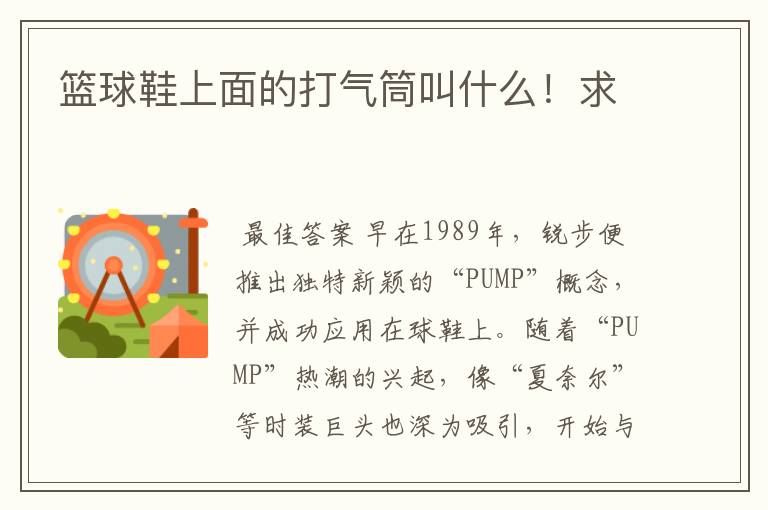 篮球鞋上面的打气筒叫什么!求