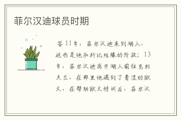 菲尔汉迪球员时期