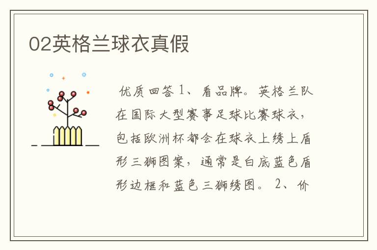02英格兰球衣真假