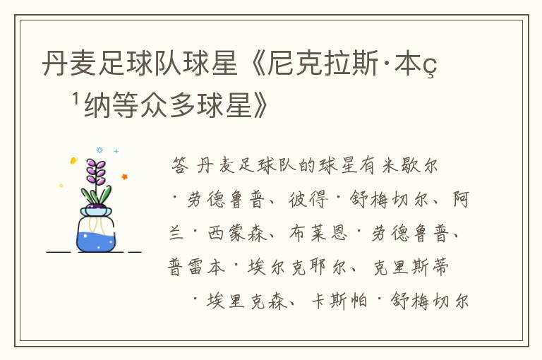 丹麦足球队球星《尼克拉斯·本特纳等众多球星》