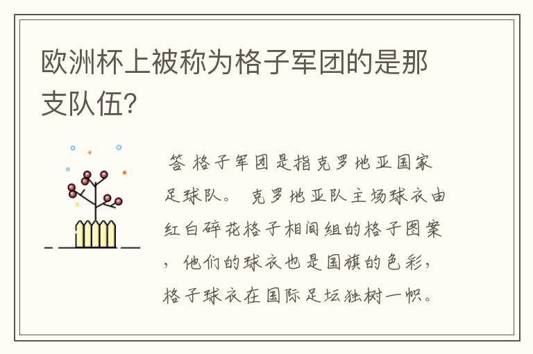欧洲杯上被称为格子军团的是那支队伍?